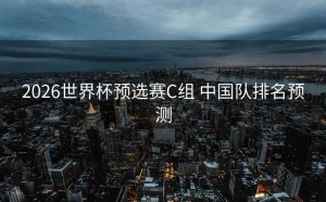 2026世界杯预选赛C组 中国队排名预测