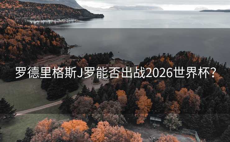 罗德里格斯J罗能否出战2026世界杯？